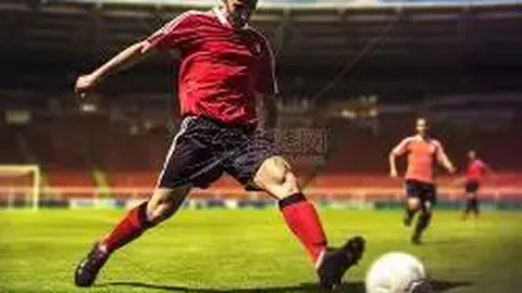 米乐YY易游体育