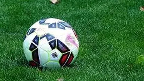 米乐YY易游体育